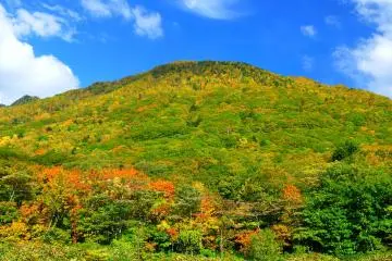 <p>วิวจากที่จอดรถ Hirayu Akandana ที่จอดรถที่รถบริการรับส่งเดินทางออกไปยังคะมิโคะชิ (Kamikochi)</p>